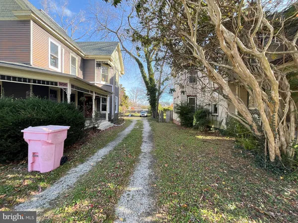 a view of a yard with plants and trees