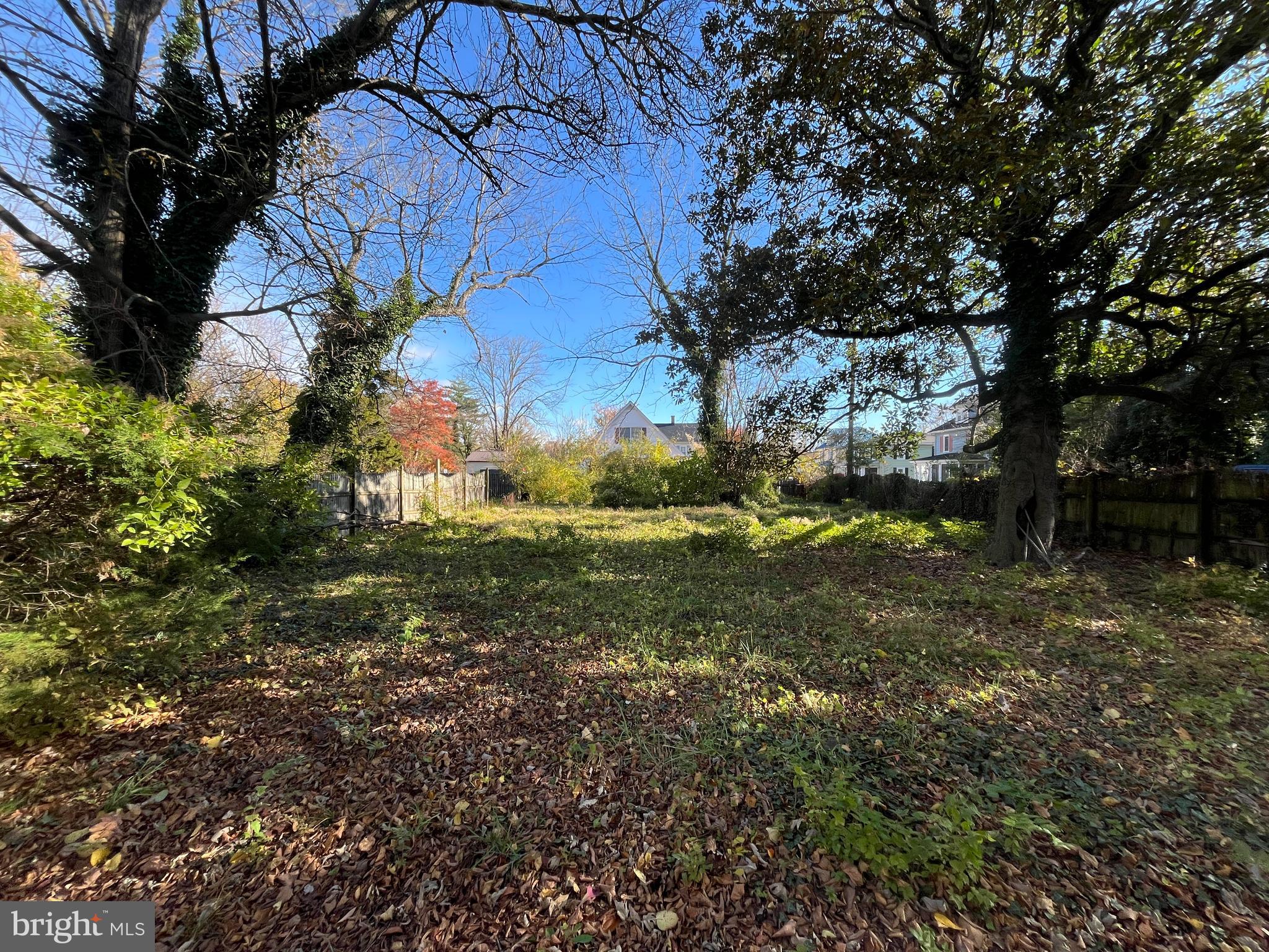 219 South Main Street Hurlock, MD 21643 - Photo 19 of 23 a view of yard with green space