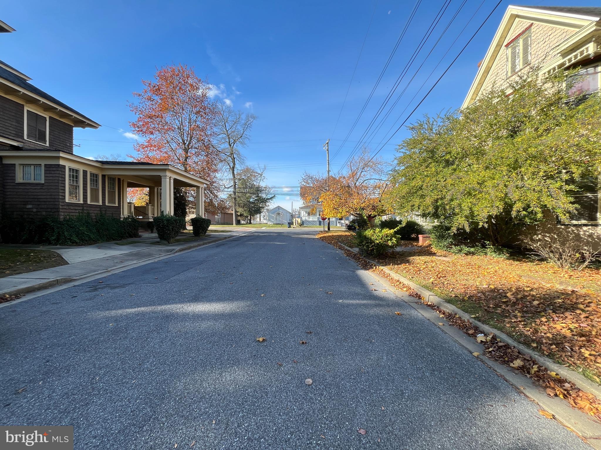 219 South Main Street Hurlock, MD 21643 - Photo 21 of 23 a street view with large trees
