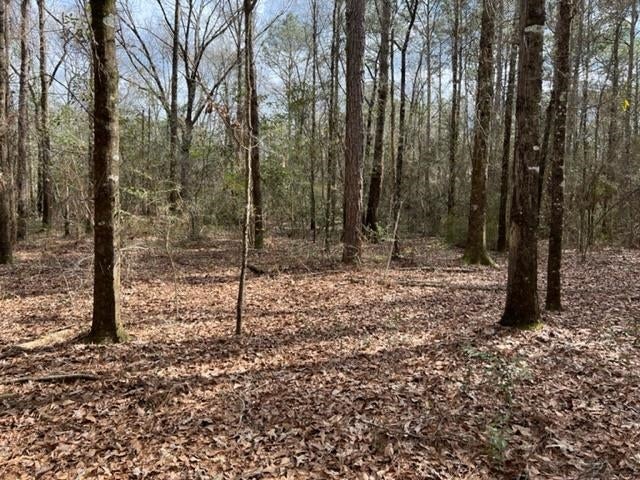 0 Adams Pond Road Opp, AL 36467 - Photo 3 of 19 Gallery Image 3