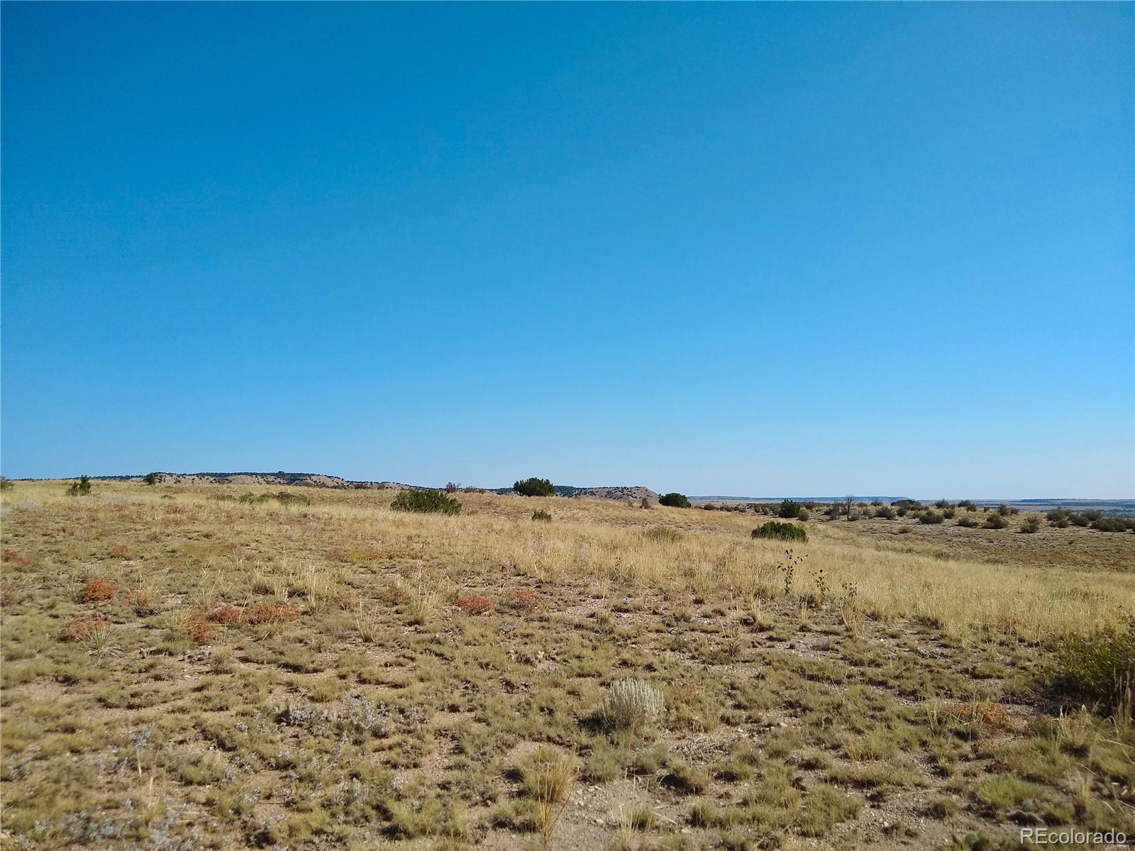 110 County Road Rye, CO 81069 - Photo 13 of 36