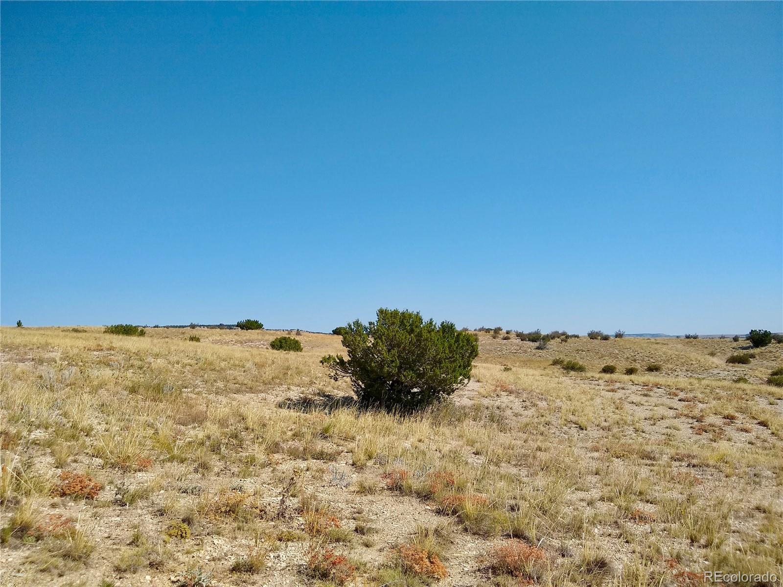 110 County Road Rye, CO 81069 - Photo 21 of 36