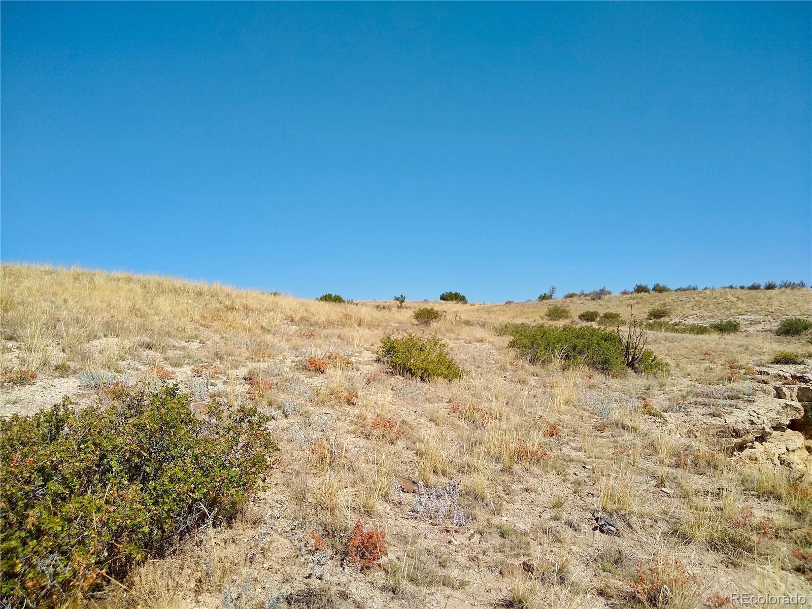 110 County Road Rye, CO 81069 - Photo 4 of 36