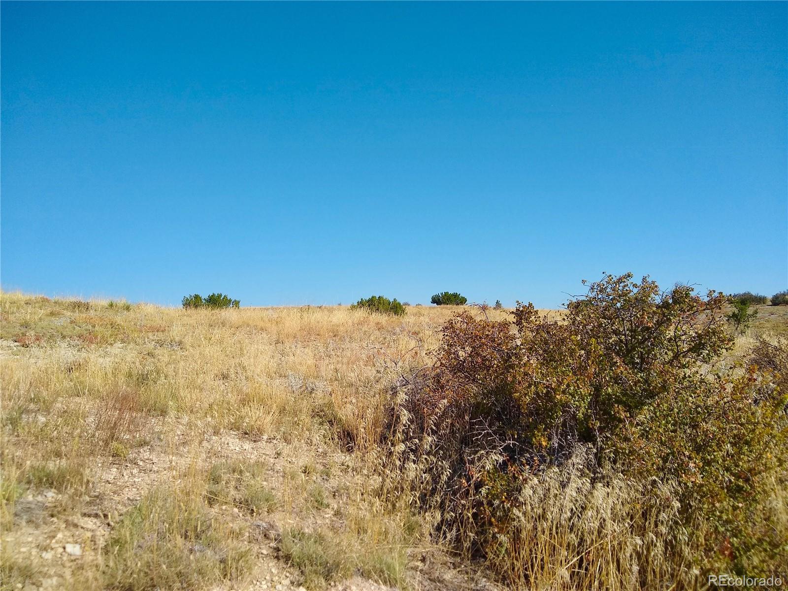 110 County Road Rye, CO 81069 - Photo 6 of 36