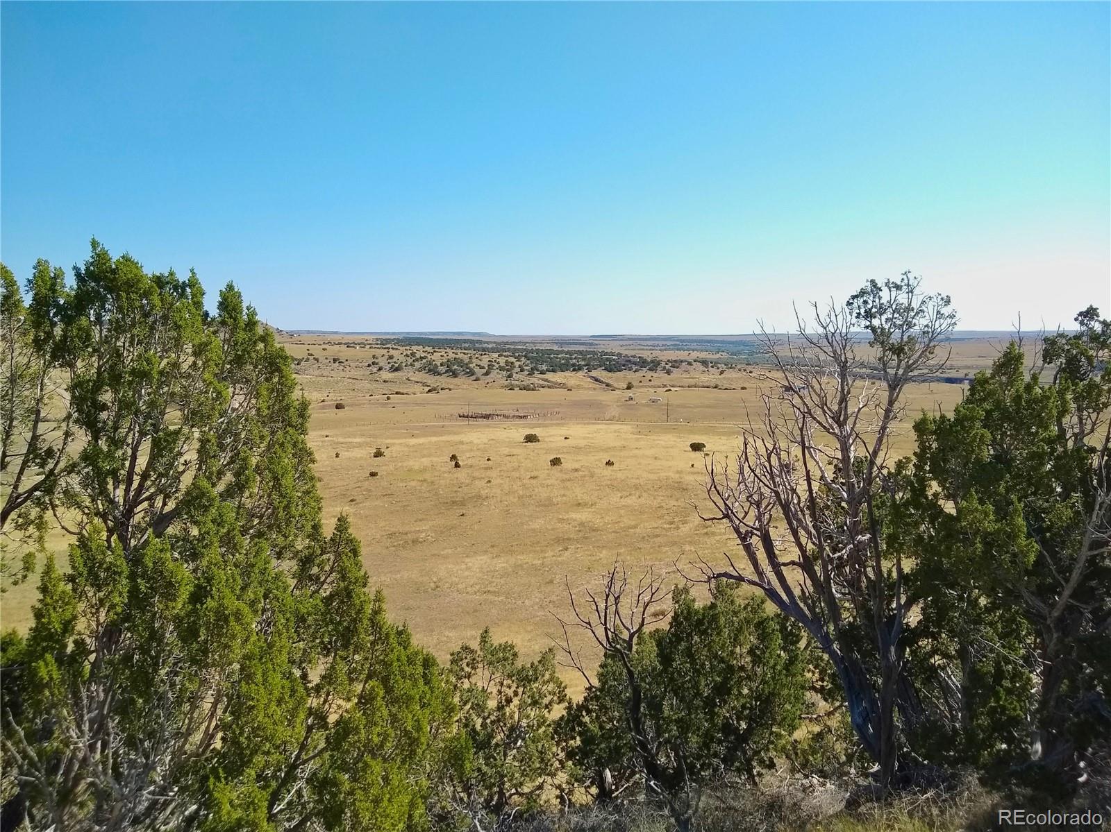 110 County Road Rye, CO 81069 - Photo 7 of 36