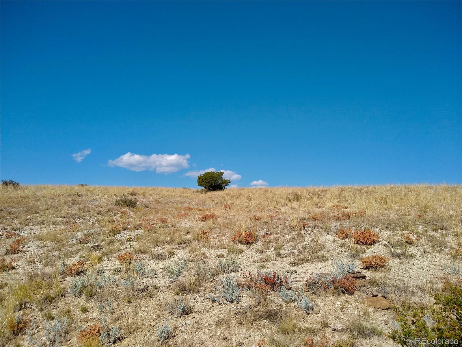 110 County Road Rye, CO 81069 - Photo 8 of 36