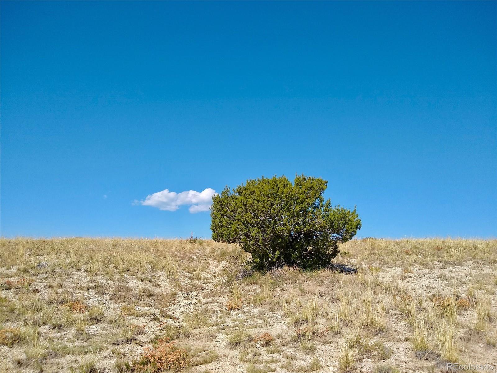 110 County Road Rye, CO 81069 - Photo 9 of 36