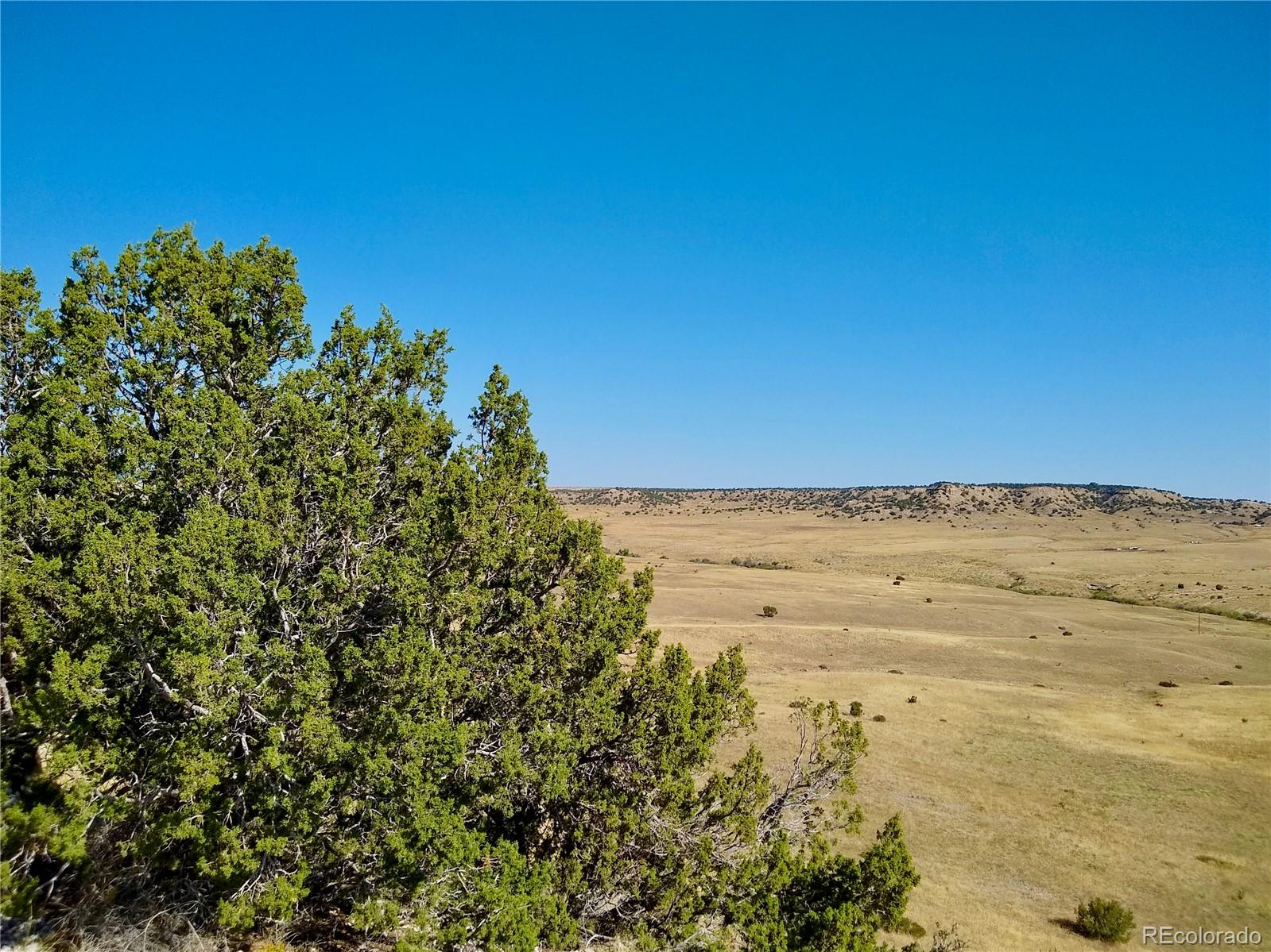 110 County Road Rye, CO 81069 - Photo 10 of 36