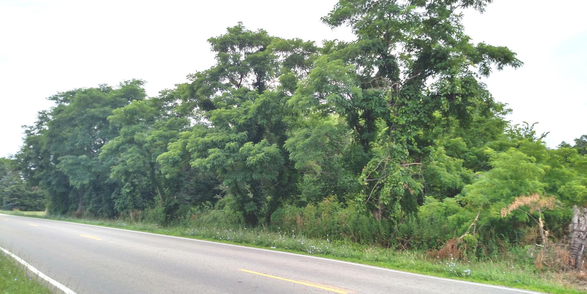 0 Refugee Road Northwest, Unit LOT F Baltimore, OH 43105 - Photo 2 of 6