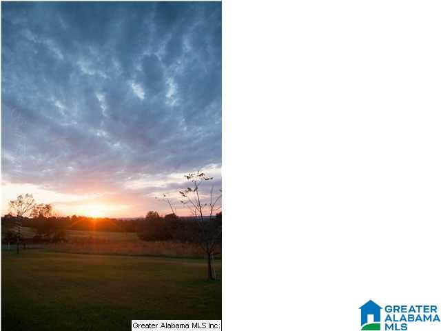 6211 Highway 29 Oneonta, AL 35121 - Photo 4 of 24