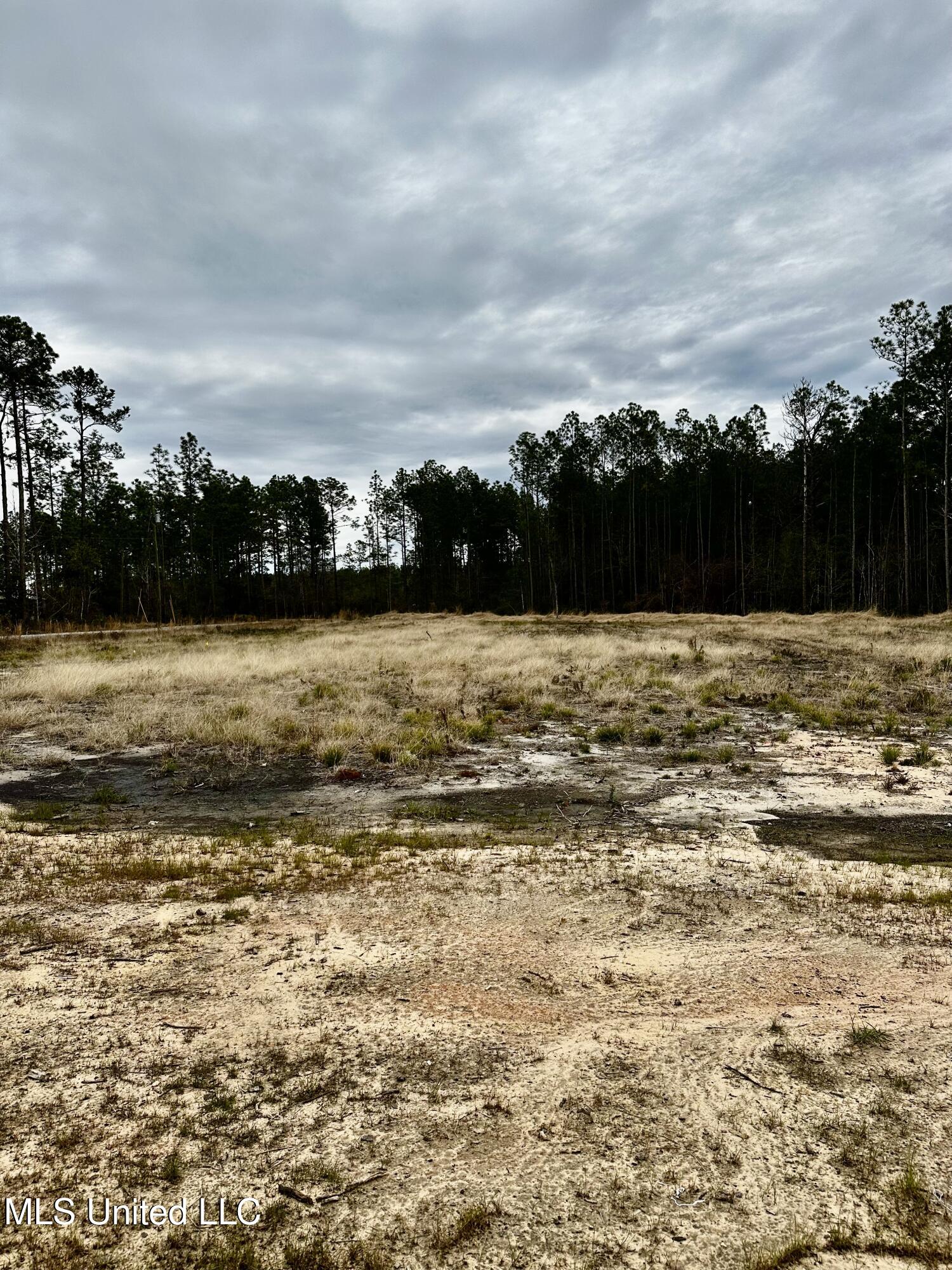 26600 Billy Hinton Road Lucedale, MS 39452 - Photo 10 of 29 FullSizeRender