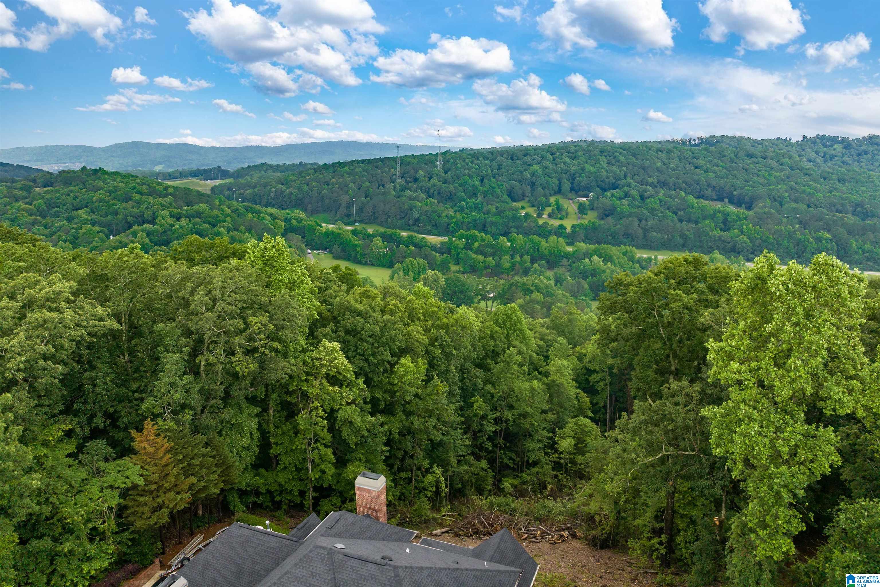 7659 Cottonridge Road Trussville, AL 35173 - Photo 58 of 63