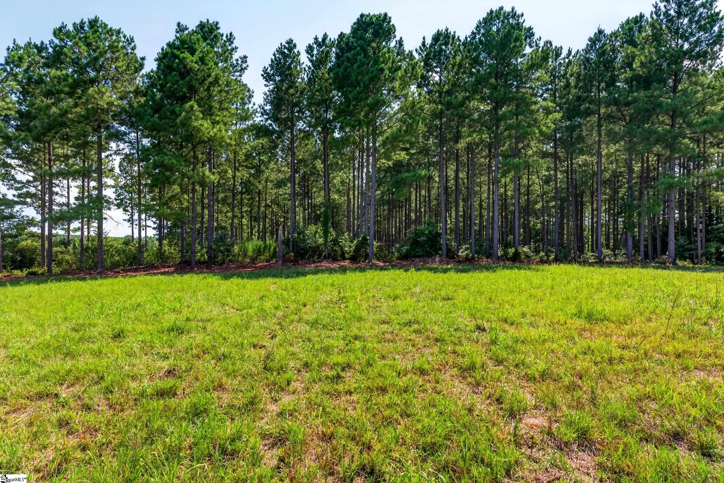 0 Todd Road Honea Path, SC 29654 - Photo 5 of 26 Gallery Image 5