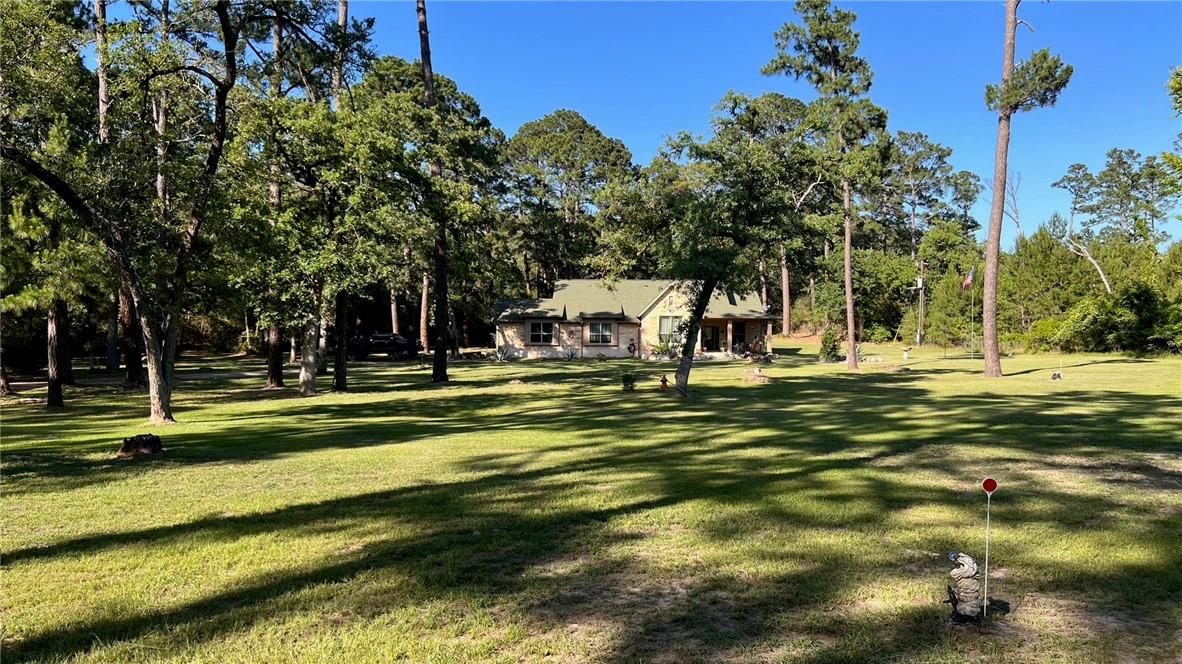 a garden view with a fountain