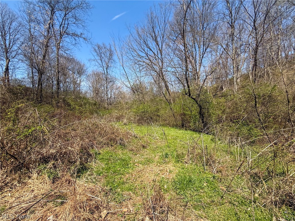 Claysville Road Cumberland, OH 43732 - Photo 6 of 47