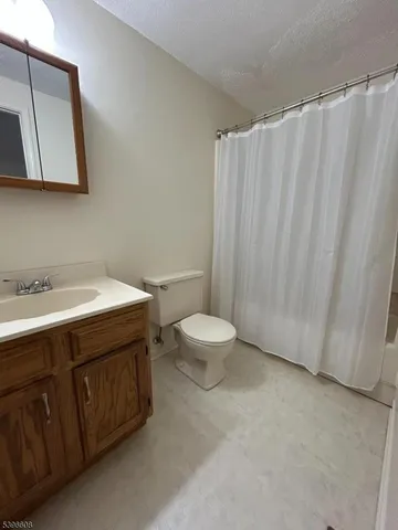 a bathroom with a sink a toilet and vanity