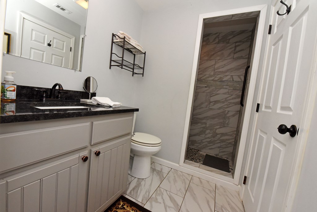 54 Linda Lane Blue Ridge, GA 30513 - Photo 22 of 59 a bathroom with a sink and a toilet