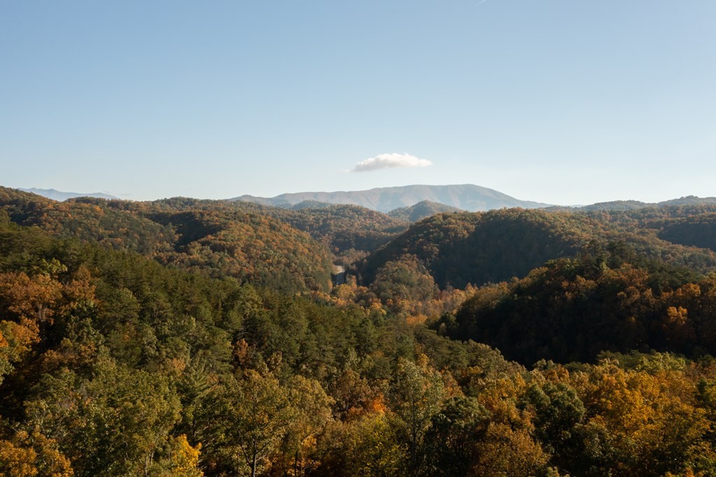 1726 Summit View Way Pigeon Forge, TN 37862 - Photo 34 of 35 Gallery Image 34