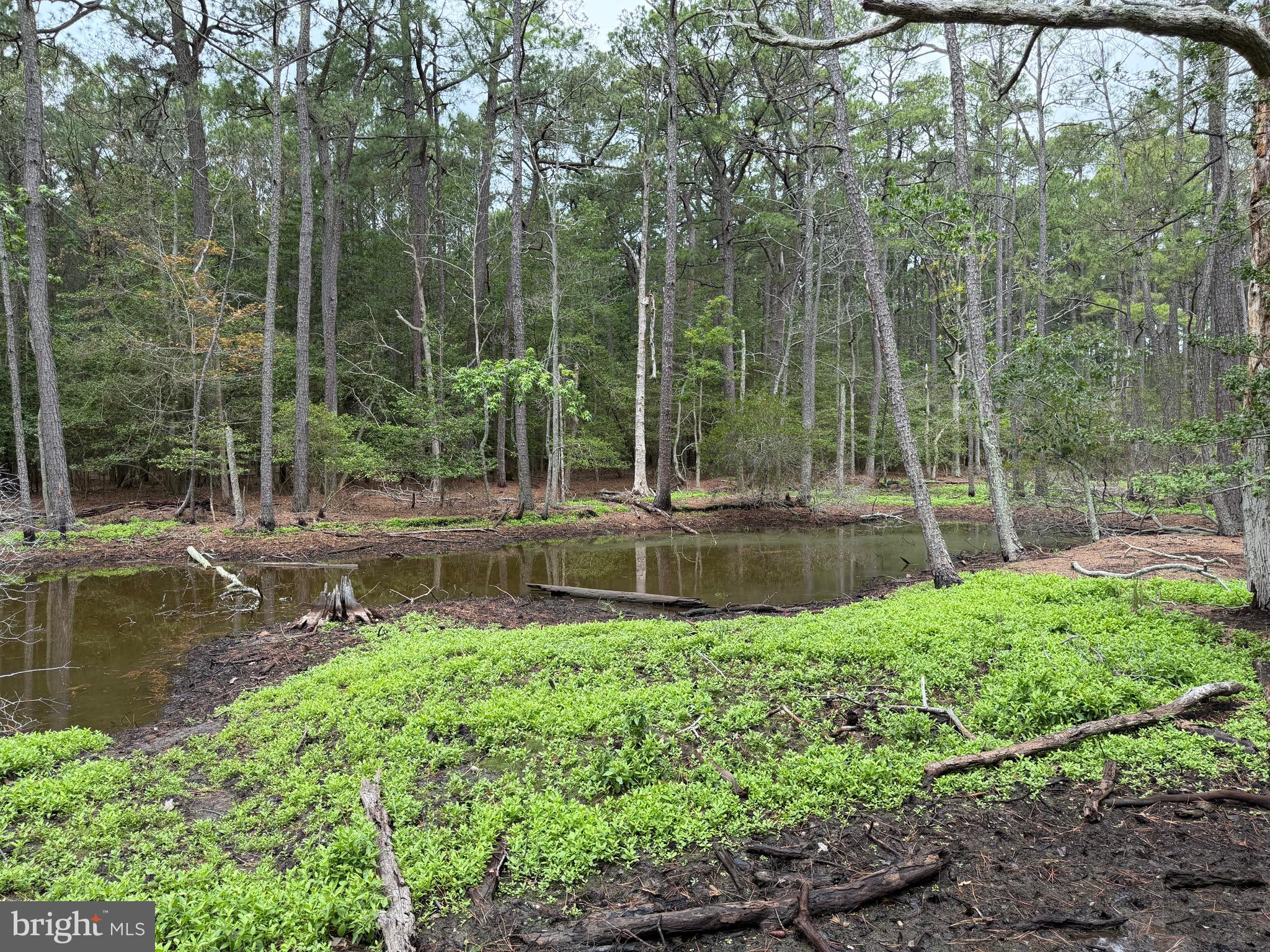 0 Hooper Neck Road Madison, MD 21648 - Photo 72 of 129