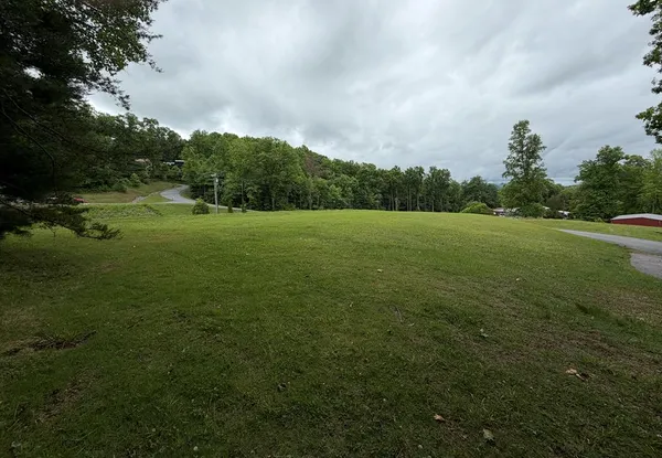 a view of field with tall trees