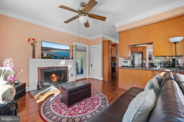 a view of a house with a yard plants and large tree