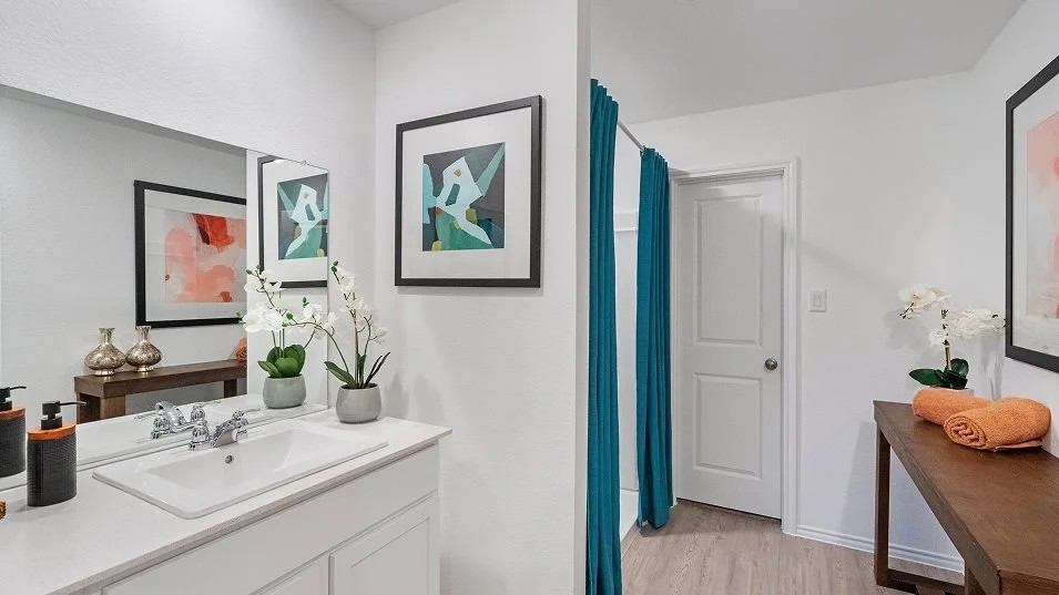 217 Skyfire Street Hutto, TX 78634 - Photo 6 of 15 a en suite bathroom with a sink and a mirror