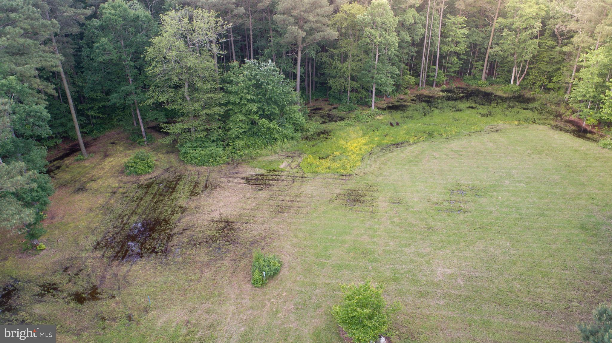 Canvasback Drive Cambridge, MD 21613 - Photo 11 of 11