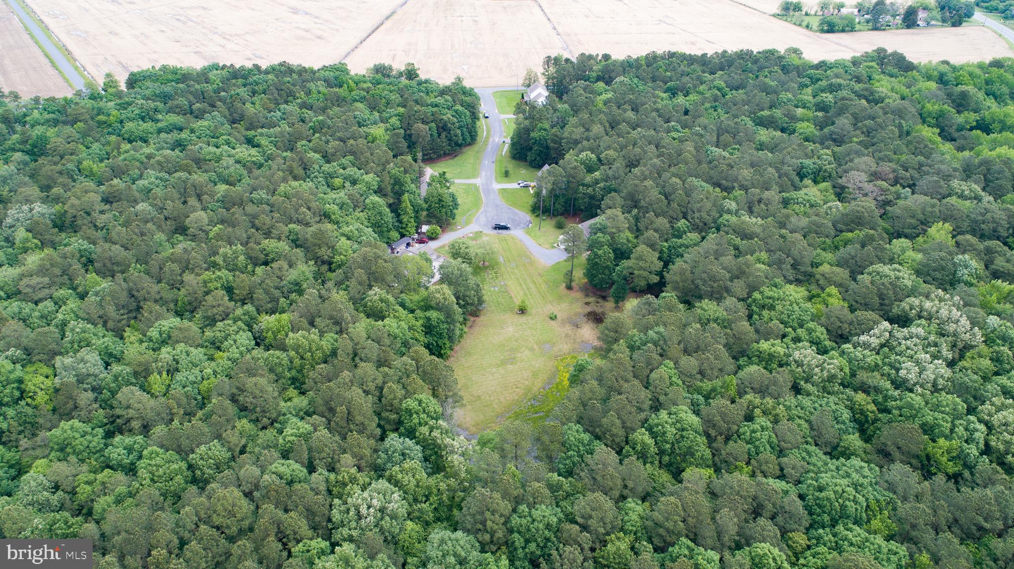 Canvasback Drive Cambridge, MD 21613 - Photo 5 of 11