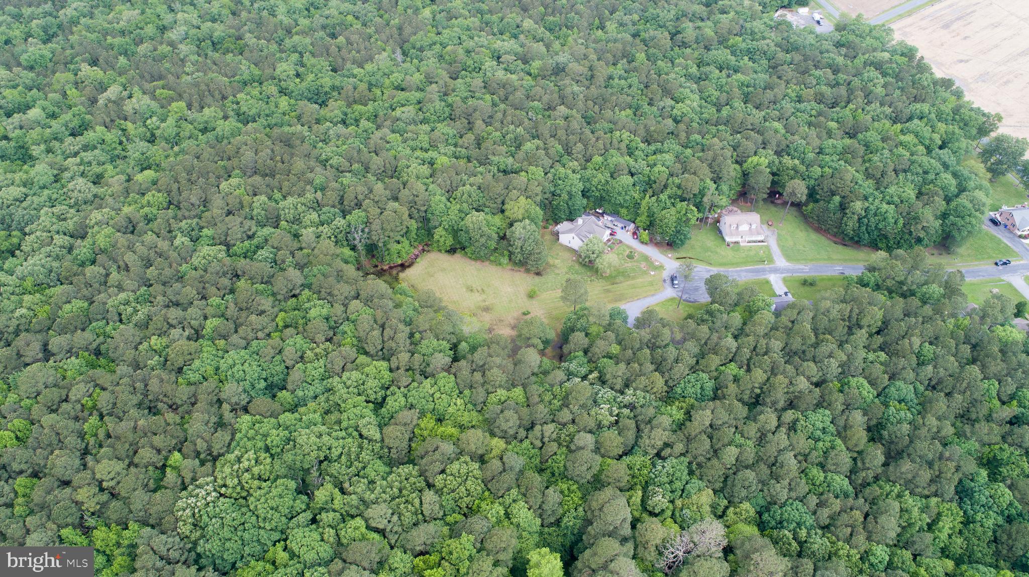 Canvasback Drive Cambridge, MD 21613 - Photo 7 of 11