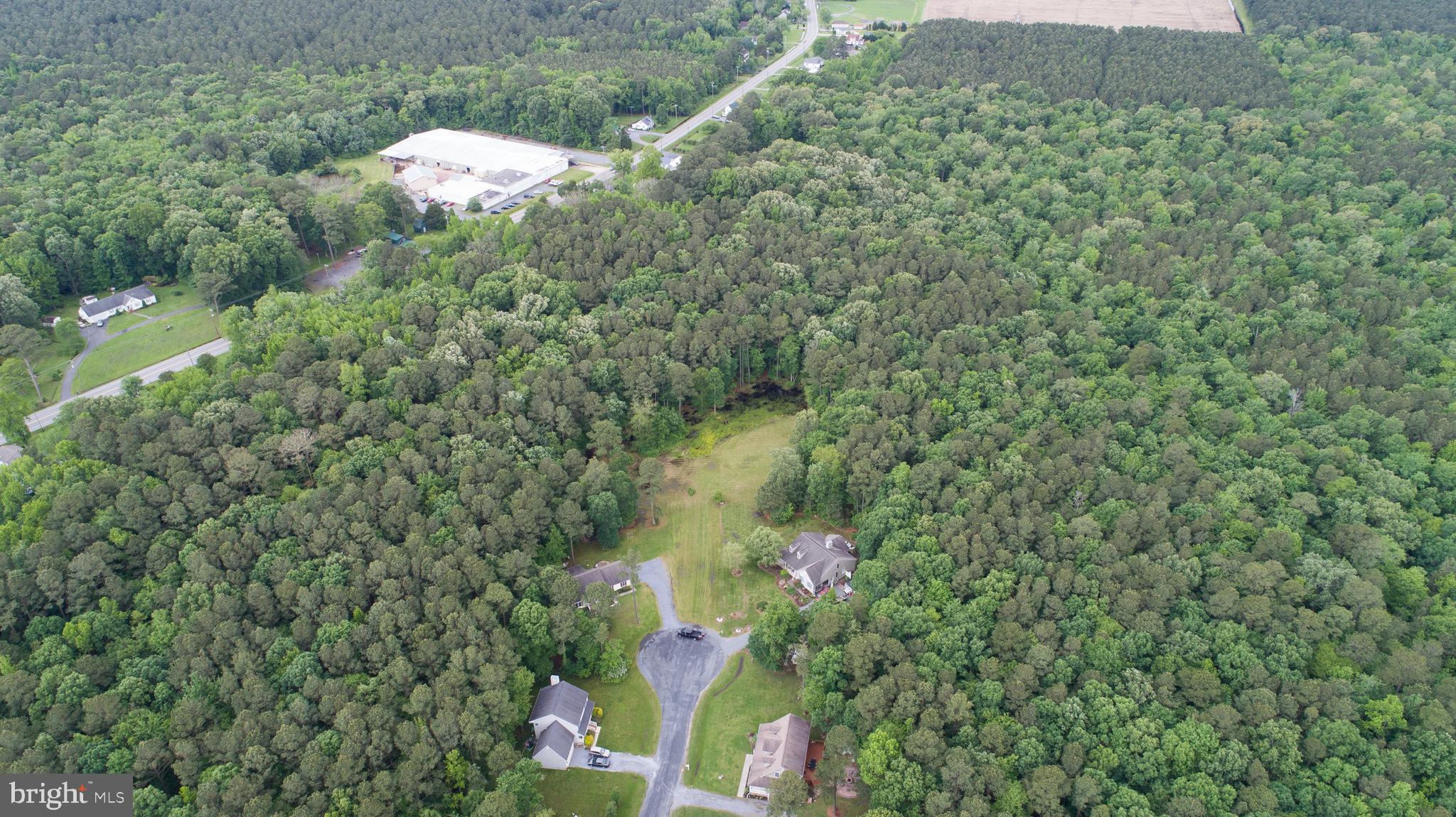 Canvasback Drive Cambridge, MD 21613 - Photo 9 of 11
