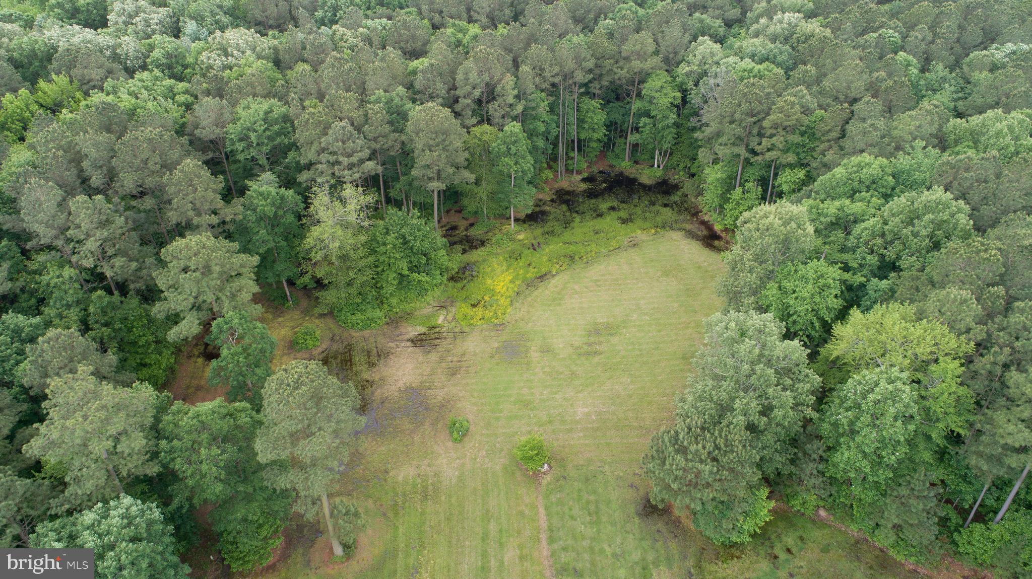 Canvasback Drive Cambridge, MD 21613 - Photo 10 of 11