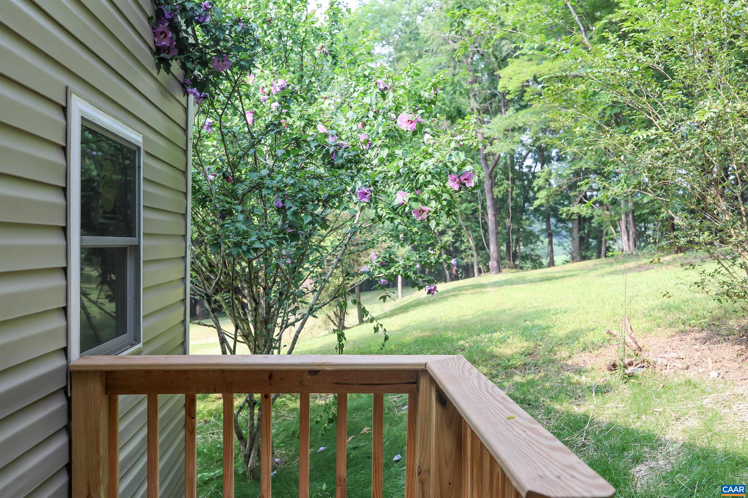8901 Chestnut Grove Road Esmont, VA 22937 - Photo 32 of 44 a view of backyard with green space