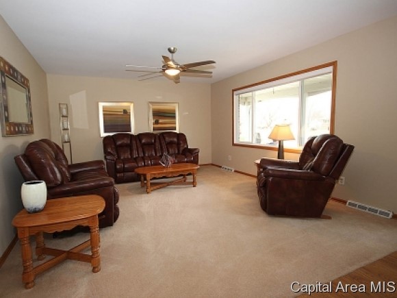 41 Abbott Road Springfield, IL 62704 - Photo 2 of 18