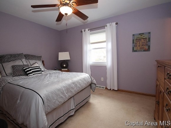 41 Abbott Road Springfield, IL 62704 - Photo 10 of 18