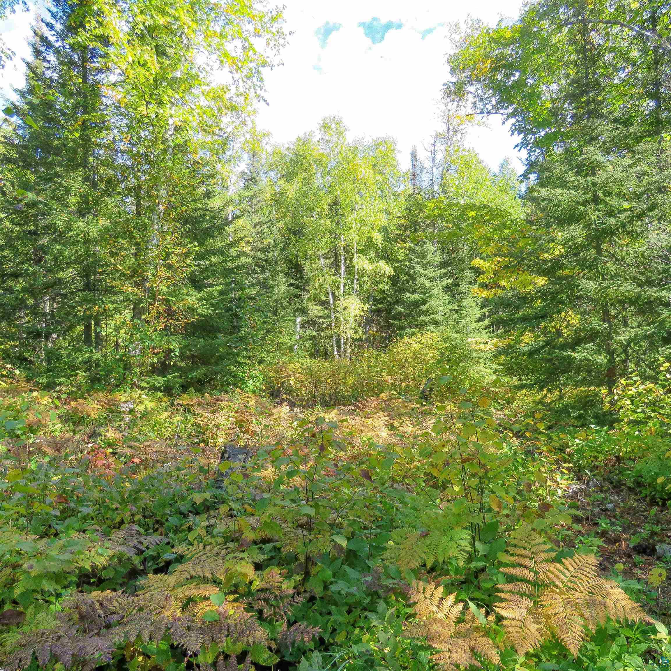 435 Cramer Road Schroeder, MN 55613 - Photo 16 of 59 Gallery Image 16