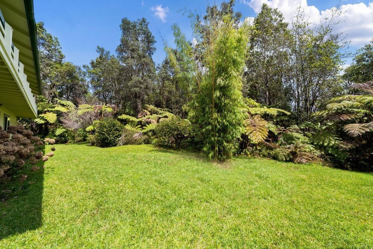 19-4252 Wright Road Volcano, HI 96785 - Photo 4 of 30 a view of a garden