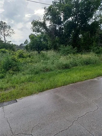 a view of a field with a tree