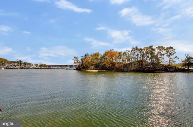 a view of ocean with boats