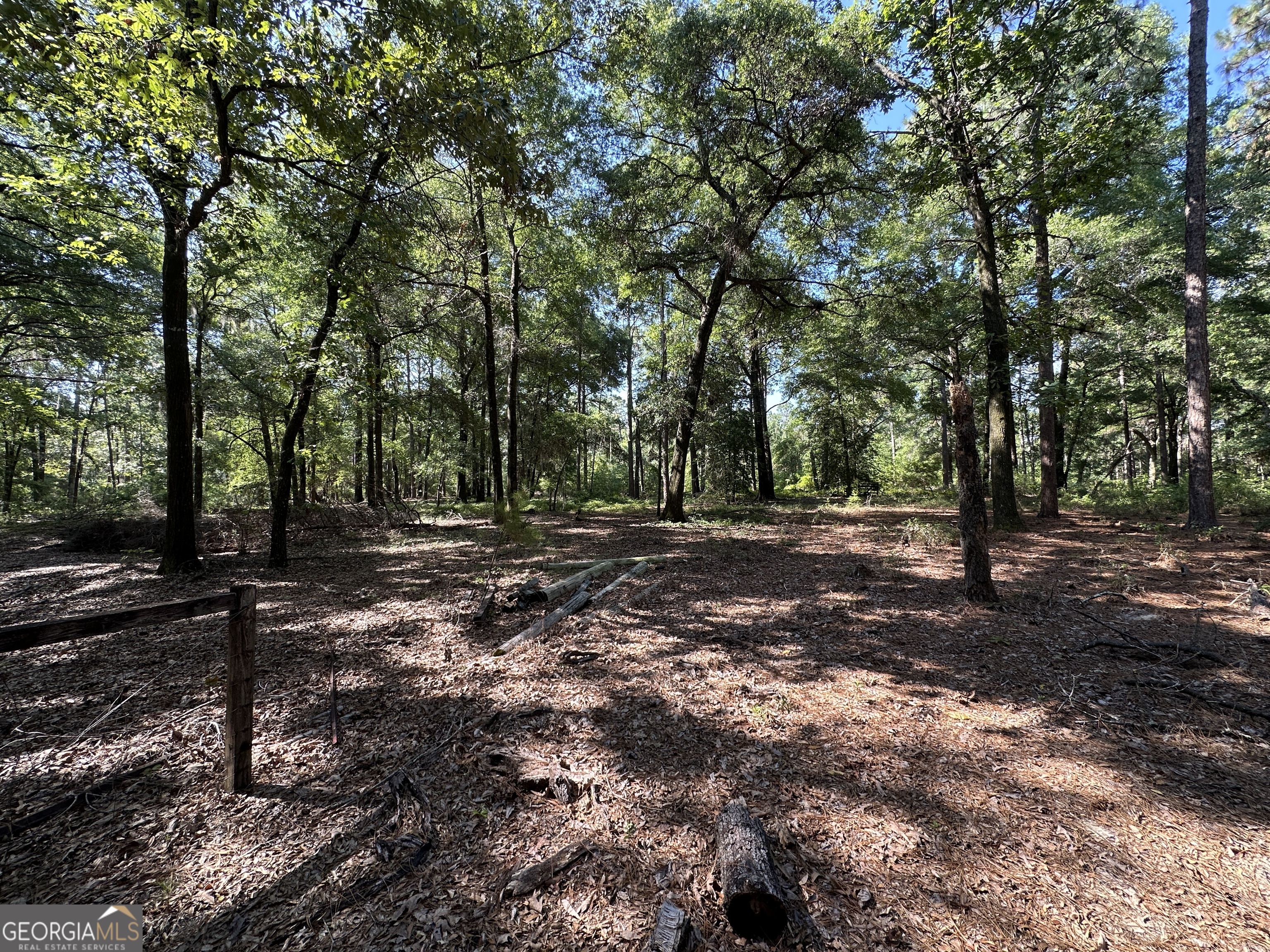 3852 Poor Robin Road Sylvania, GA 30467 - Photo 22 of 24