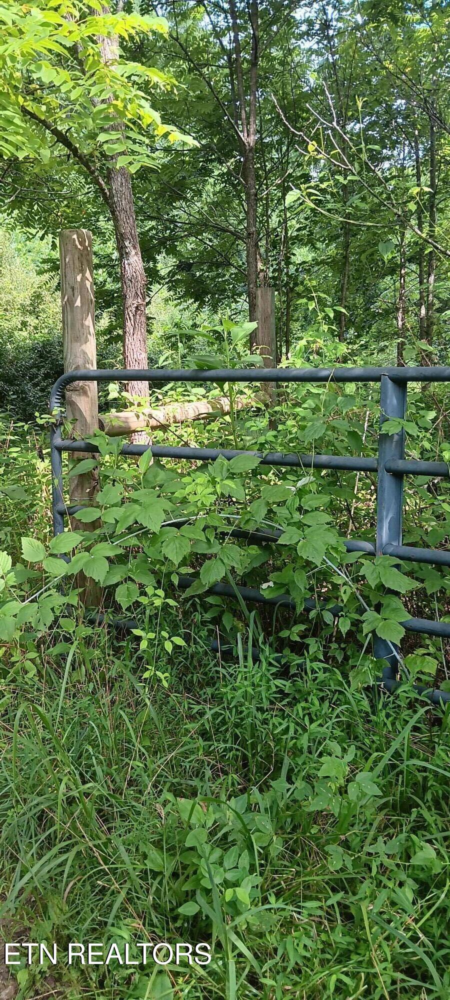 1133 Wheeler Road Harrogate, TN 37752 - Photo 21 of 32 20260717_104408 (1)