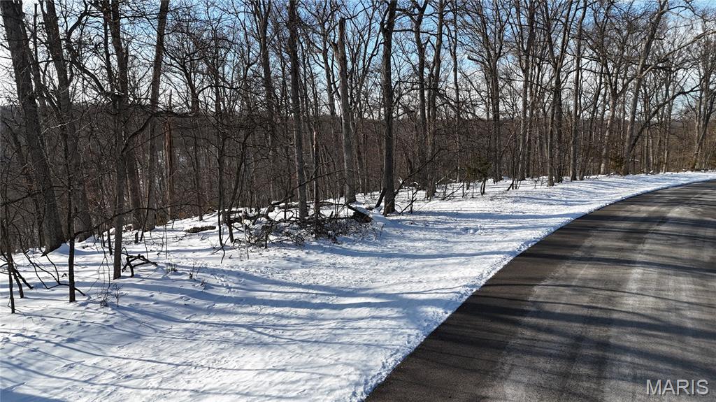 Lot 1 Boone Ridge Trail Defiance, MO 63341 - Photo 17 of 26