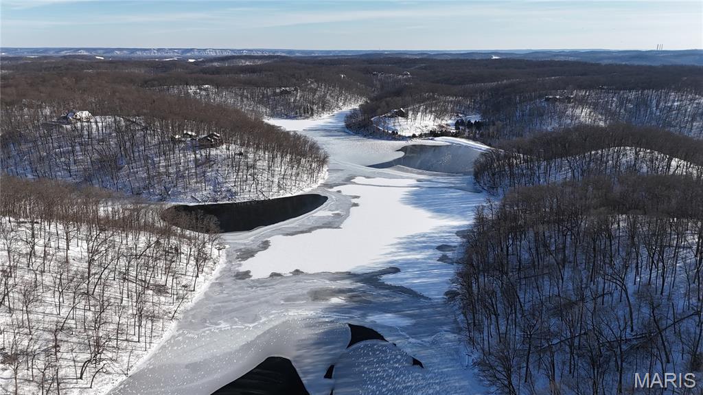 Lot 1 Boone Ridge Trail Defiance, MO 63341 - Photo 2 of 26