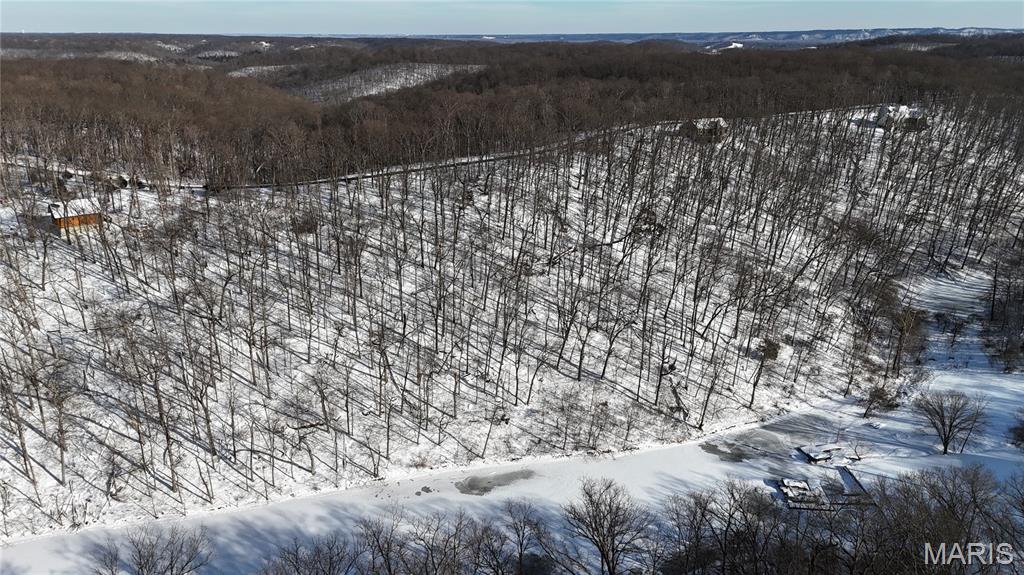 Lot 1 Boone Ridge Trail Defiance, MO 63341 - Photo 9 of 26