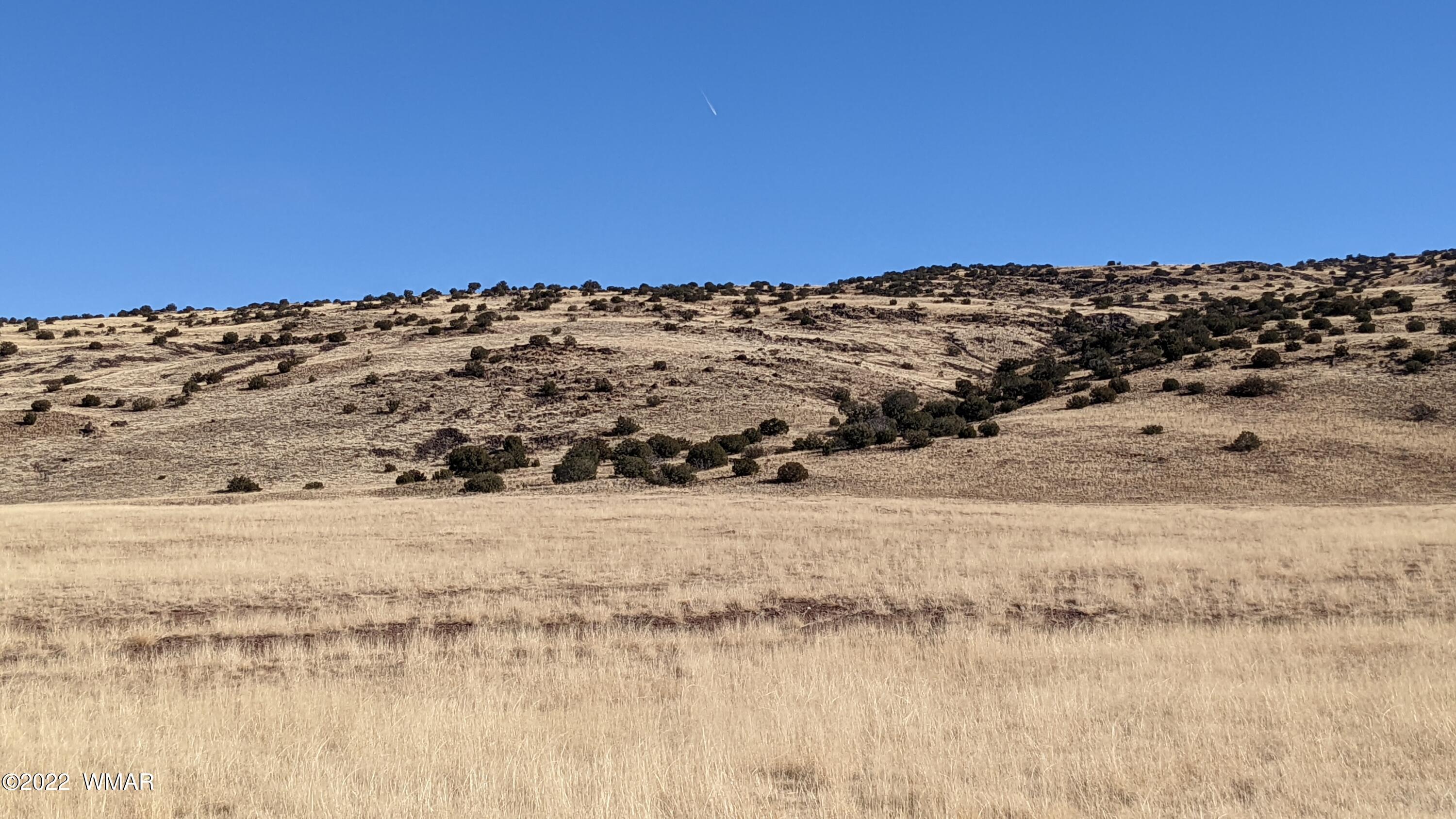 Lot 62 Big Valley Ranch Concho, AZ 85924 - Photo 1 of 7