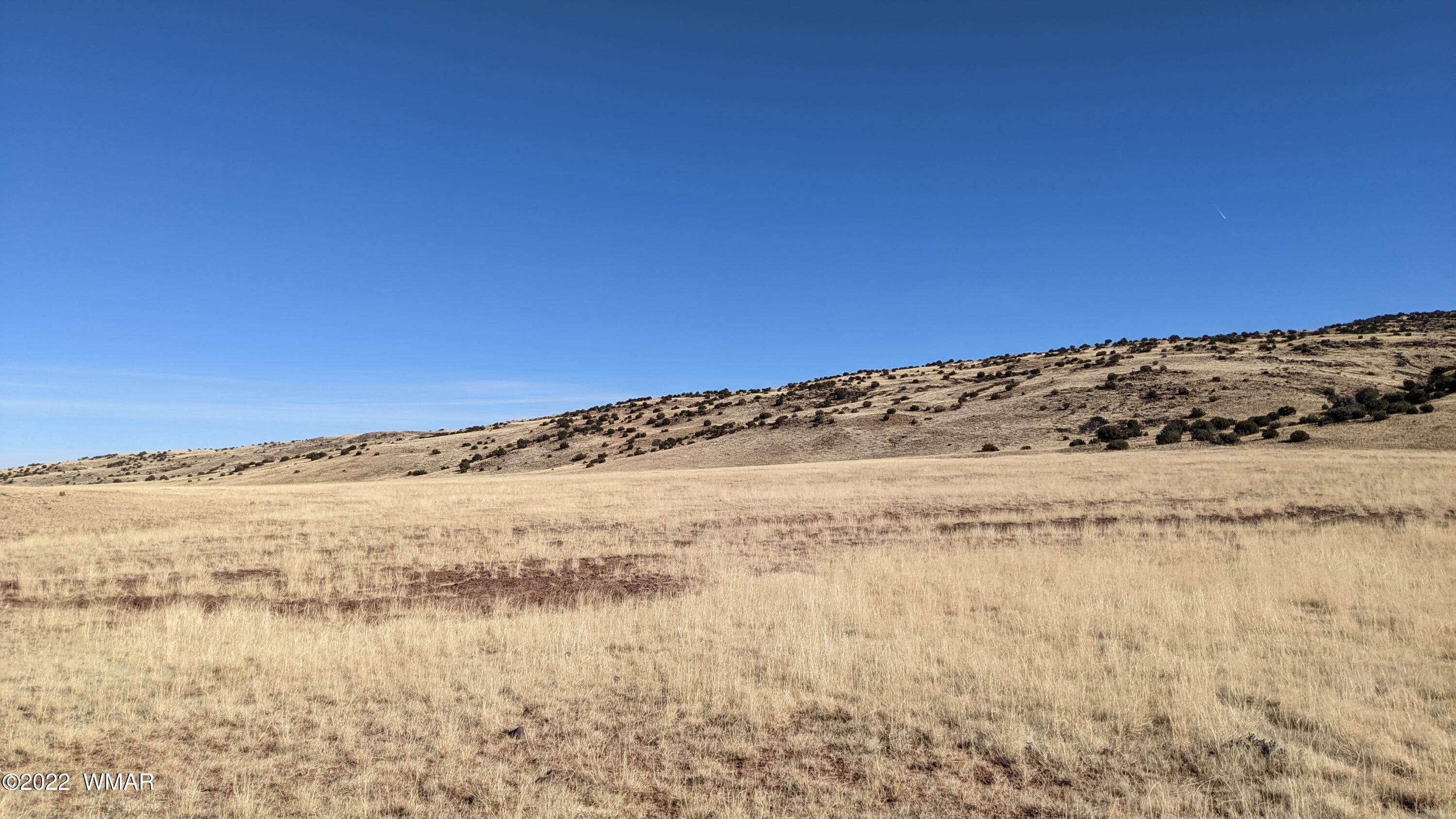 Lot 62 Big Valley Ranch Concho, AZ 85924 - Photo 4 of 7