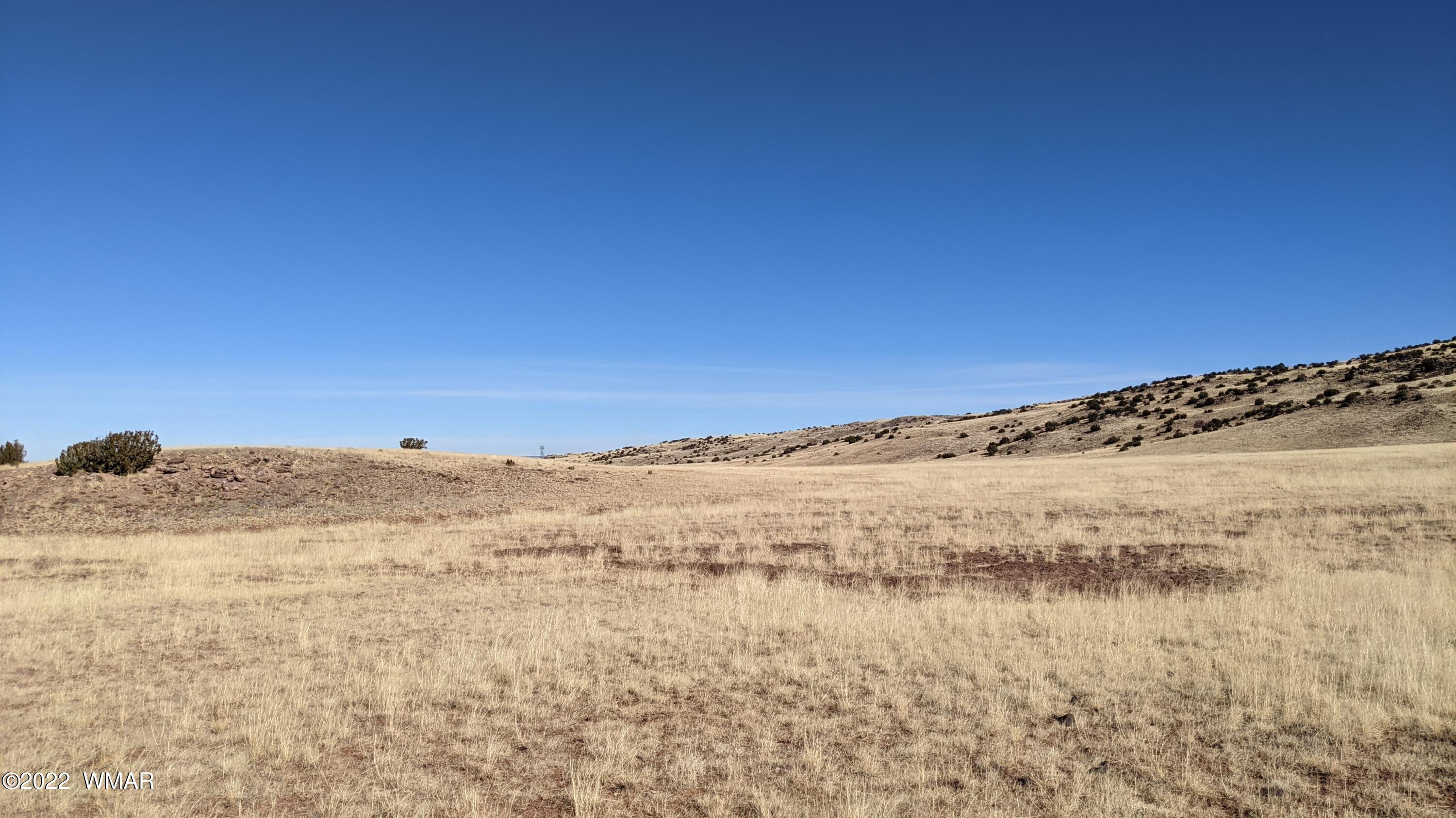 Lot 62 Big Valley Ranch Concho, AZ 85924 - Photo 5 of 7