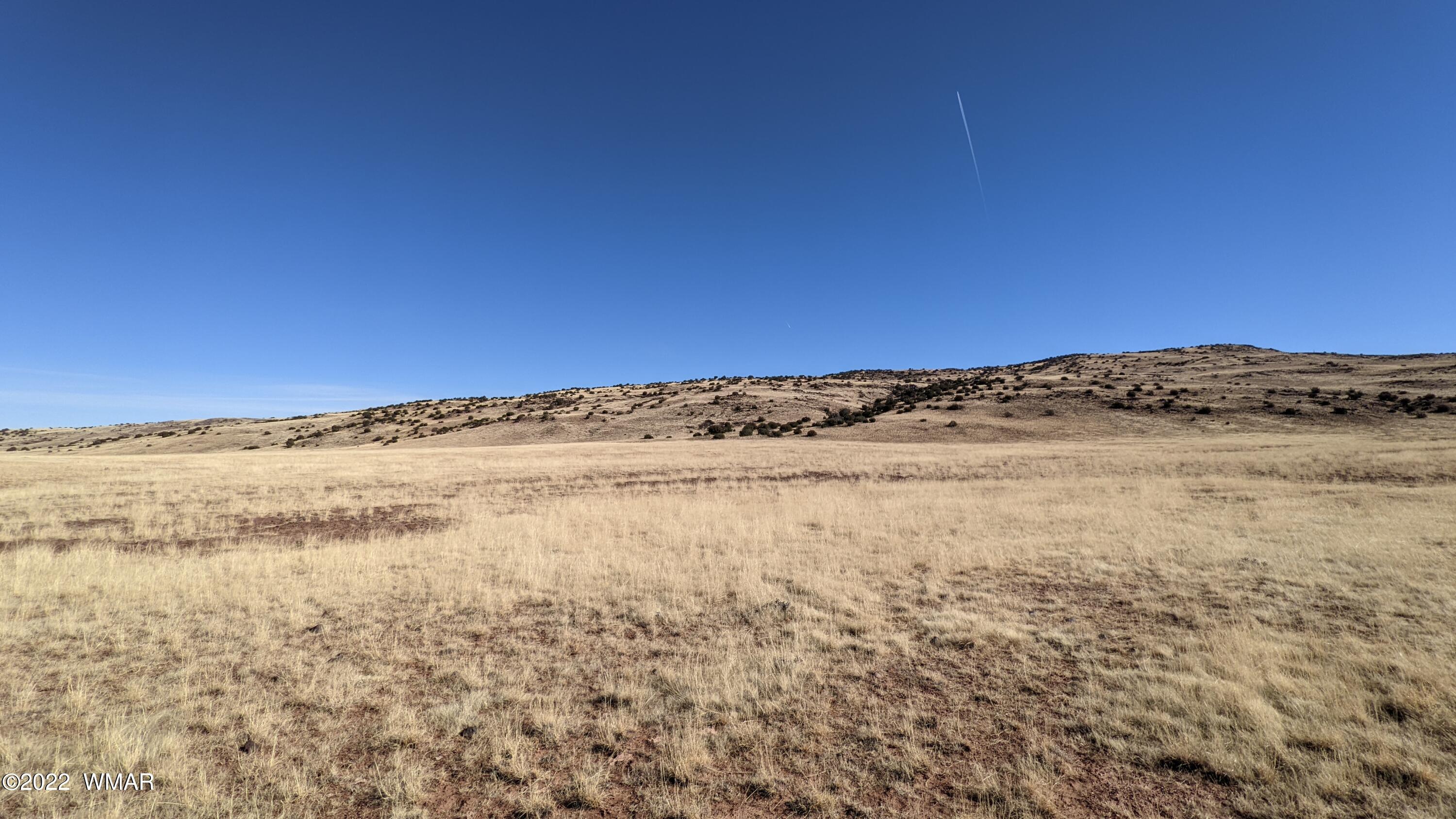 Lot 62 Big Valley Ranch Concho, AZ 85924 - Photo 6 of 7
