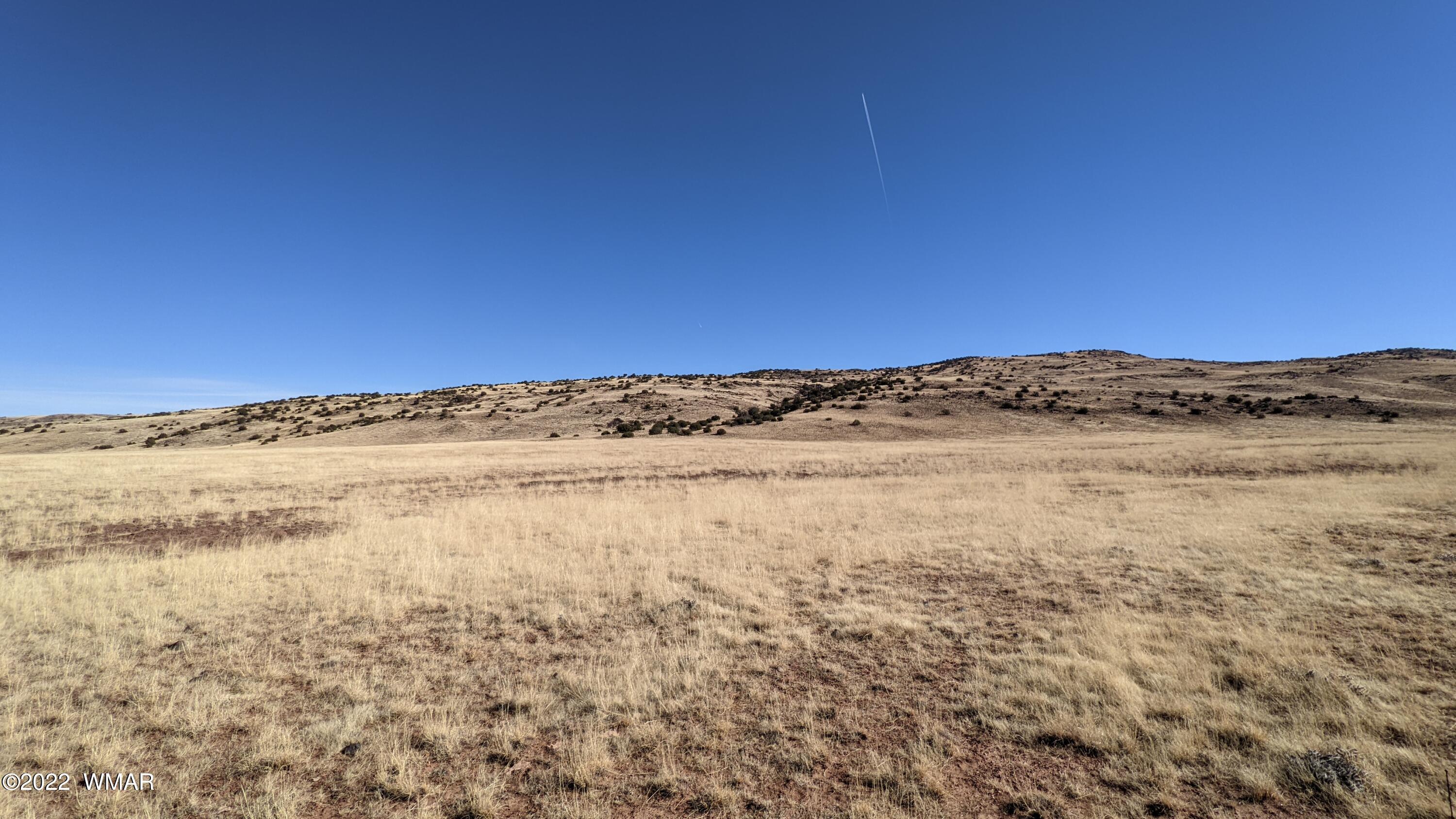 Lot 62 Big Valley Ranch Concho, AZ 85924 - Photo 7 of 7