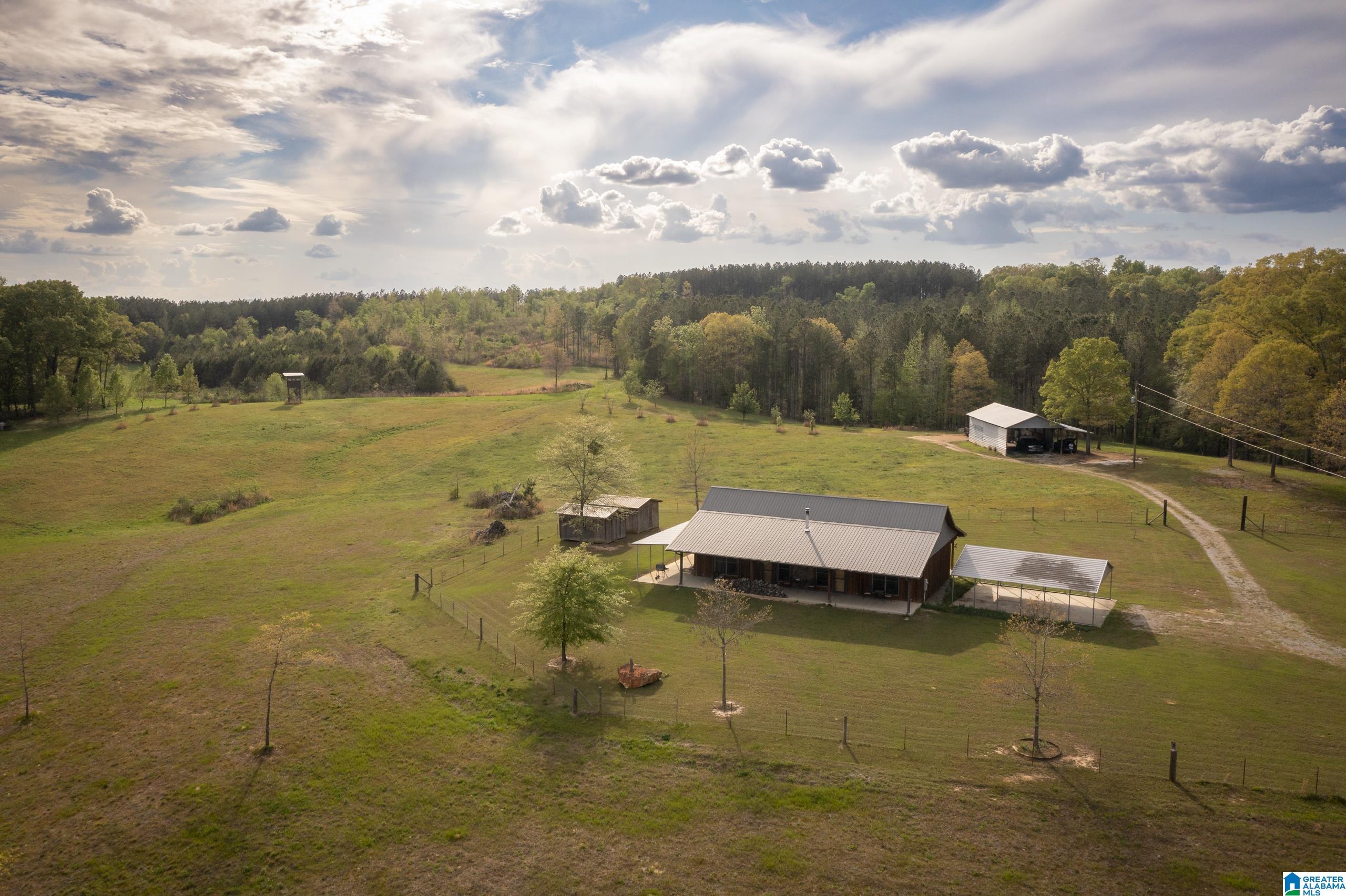 1325 Ledbetter Road Munford, AL 36268 - Photo 73 of 85