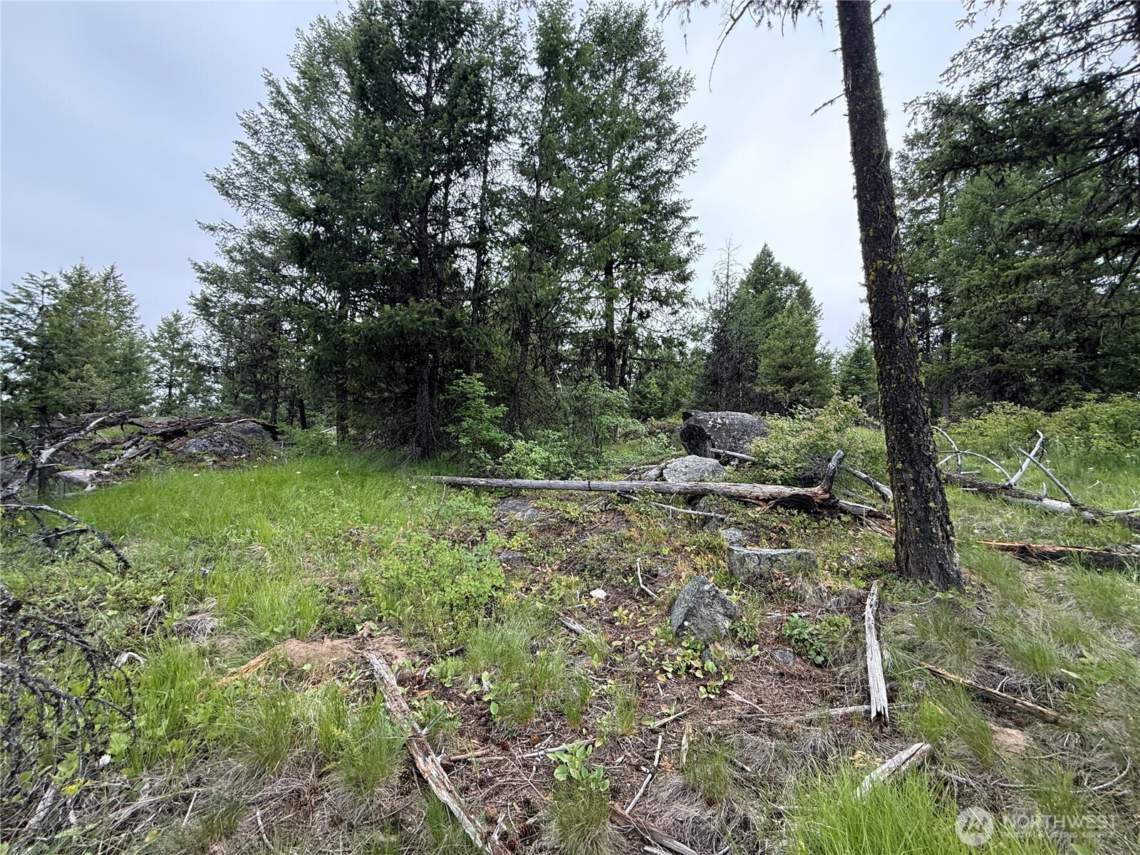 0 Mule Deer Road Republic, WA 99166 - Photo 19 of 20